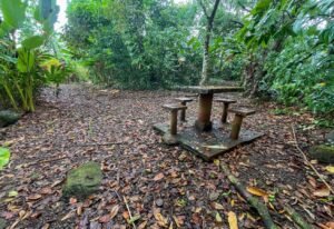 4560 House For Sale Buganvilla Ojochal 34