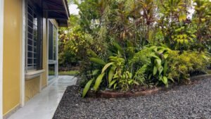 4560 House For Sale Buganvilla Ojochal 37