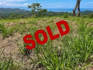 4571 Property For Sale in Ojochal 02 (1)