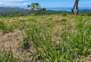 4571 Property For Sale in Ojochal 02