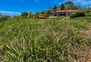 4571 Property For Sale in Ojochal 03