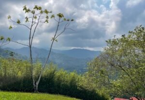 4571 Property For Sale in Ojochal 04