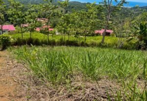 4571 Property For Sale in Ojochal 08
