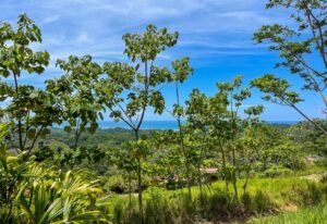 4571 Property For Sale in Ojochal 10