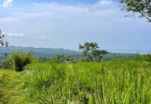 4571 Property For Sale in Ojochal 11