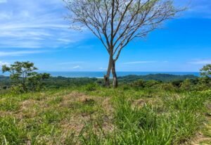 4571 Property For Sale in Ojochal 13