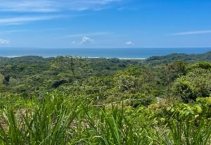 4571 Property For Sale in Ojochal 16