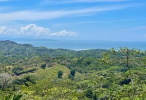 4571 Property For Sale in Ojochal 17