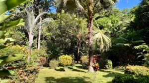 4921 Riverfront wooden house Av. Principal 40