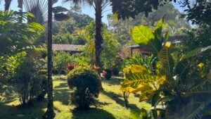 4921 Riverfront wooden house Av. Principal 41