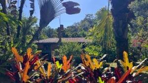 4921 Riverfront wooden house Av. Principal 42