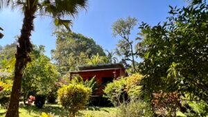 4921 Riverfront wooden house Av. Principal 43