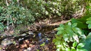 4921 Riverfront wooden house Av. Principal 44