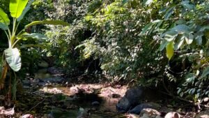 4921 Riverfront wooden house Av. Principal 45