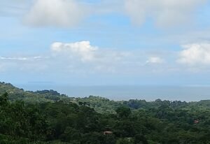 5517 – P11 Street Lot 8_05