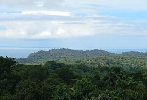 5517 – P11 Street Lot 8_07