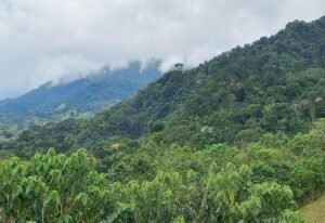 5517 – P11 Street Lot 8_08