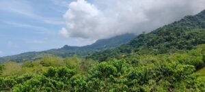 5517 – P11 Street Lot 8_09