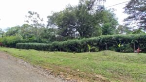 5519 – Ojochal Calle Tucan 1.8 Acre Usable Land_01