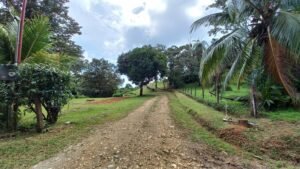 5519 – Ojochal Calle Tucan 1.8 Acre Usable Land_03