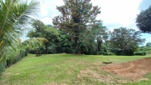 5519 – Ojochal Calle Tucan 1.8 Acre Usable Land_04