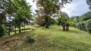 5519 – Ojochal Calle Tucan 1.8 Acre Usable Land_06