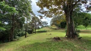 5519 – Ojochal Calle Tucan 1.8 Acre Usable Land_07