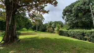5519 – Ojochal Calle Tucan 1.8 Acre Usable Land_08