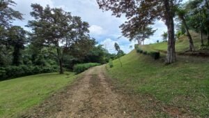 5519 – Ojochal Calle Tucan 1.8 Acre Usable Land_15