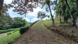 5519 – Ojochal Calle Tucan 1.8 Acre Usable Land_16