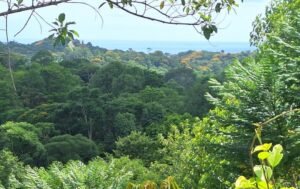 5519 – Ojochal Calle Tucan 1.8 Acre Usable Land_18