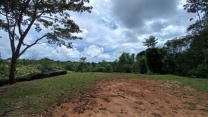 5519 – Ojochal Calle Tucan 1.8 Acre Usable Land_19