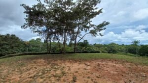 5519 – Ojochal Calle Tucan 1.8 Acre Usable Land_20