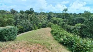 5519 – Ojochal Calle Tucan 1.8 Acre Usable Land_21
