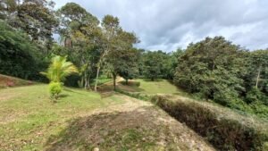 5519 – Ojochal Calle Tucan 1.8 Acre Usable Land_23