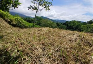 5949 Lot Phase 10 For Sale 01