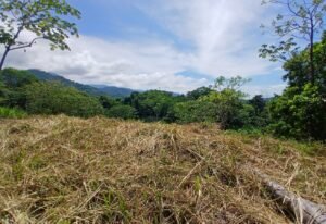 5949 Lot Phase 10 For Sale 02