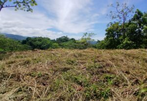 5949 Lot Phase 10 For Sale 03