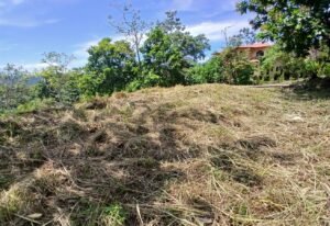 5949 Lot Phase 10 For Sale 04