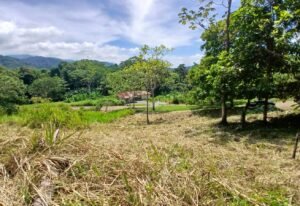 5949 Lot Phase 10 For Sale 05