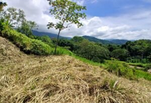 5949 Lot Phase 10 For Sale 06