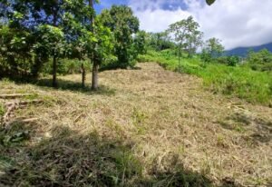 5949 Lot Phase 10 For Sale 07