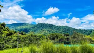 Property For Sale in Ojochal Costa Rica