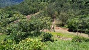 Property For Sale in Ojochal Costa Rica