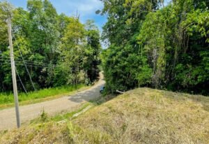 5952 Jungle Property For Sale 01