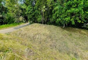 5952 Jungle Property For Sale 02