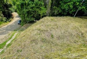 5952 Jungle Property For Sale 03