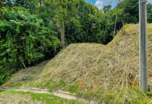 5952 Jungle Property For Sale 04