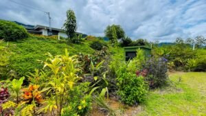 5954 Villa Ojochal For Sale 03