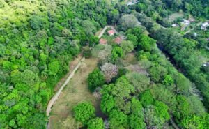 8-The Landings-Lot 11-Coronado